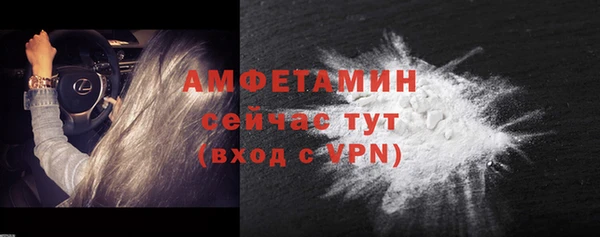 бошки Пересвет