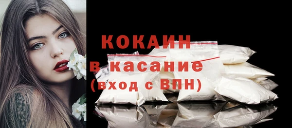 бошки Пересвет