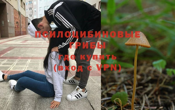 бошки Пересвет