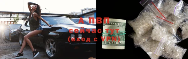 бошки Пересвет