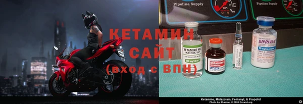 бошки Пересвет