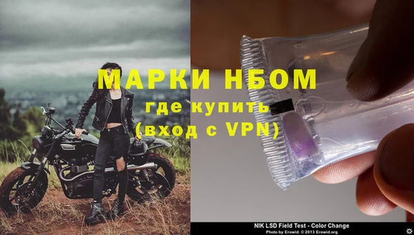 бошки Пересвет
