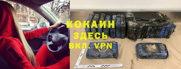 бошки Пересвет