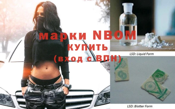 бошки Пересвет