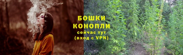 ALPHA PVP Переславль-Залесский